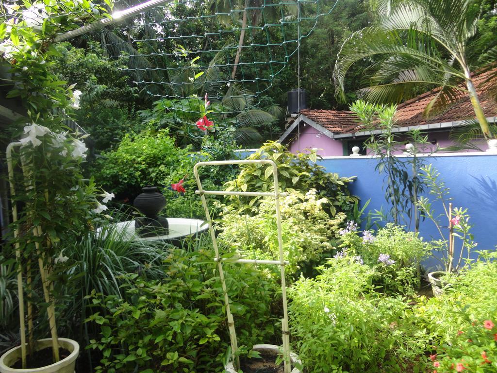 Abha Villa Galle Extérieur photo